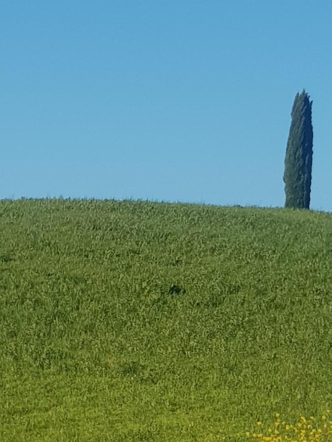 Palazzetto Del Pittore San Quirico d'Orcia Exterior photo