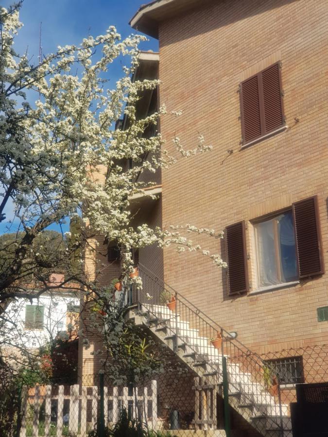 Palazzetto Del Pittore San Quirico d'Orcia Exterior photo