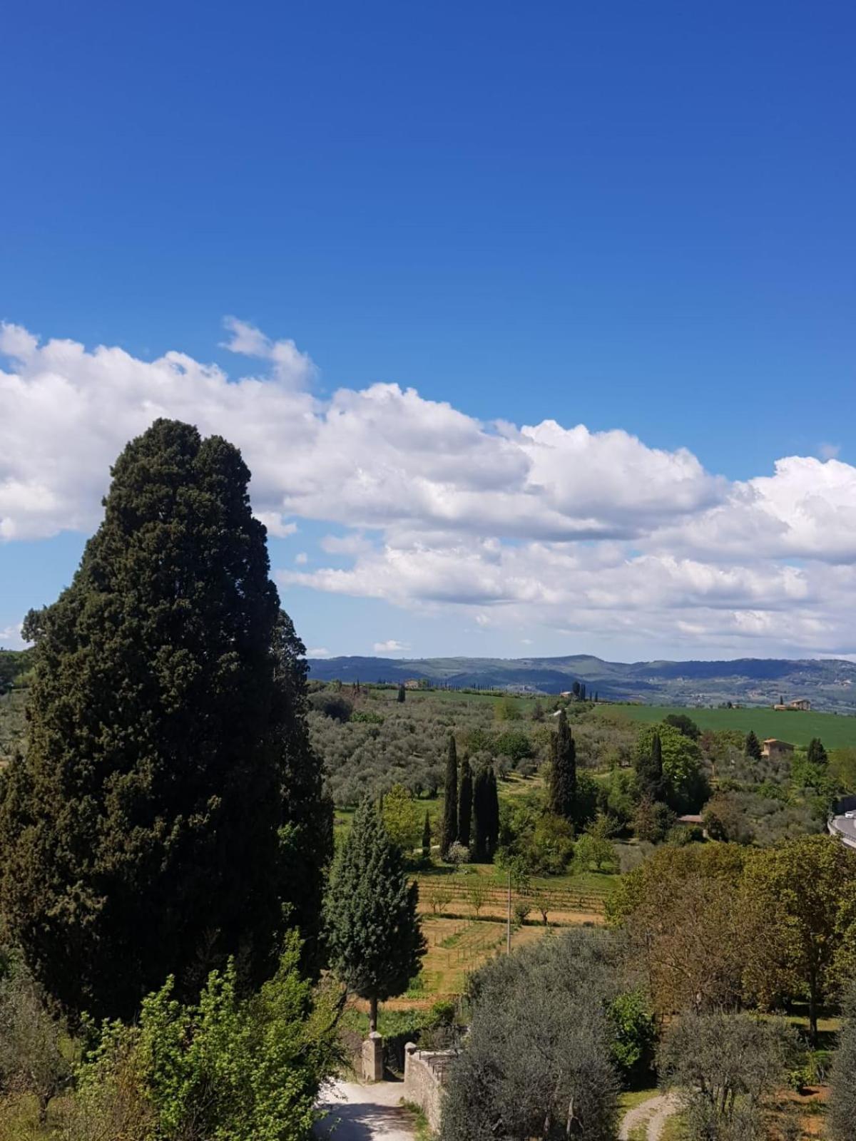 Palazzetto Del Pittore San Quirico d'Orcia Exterior photo