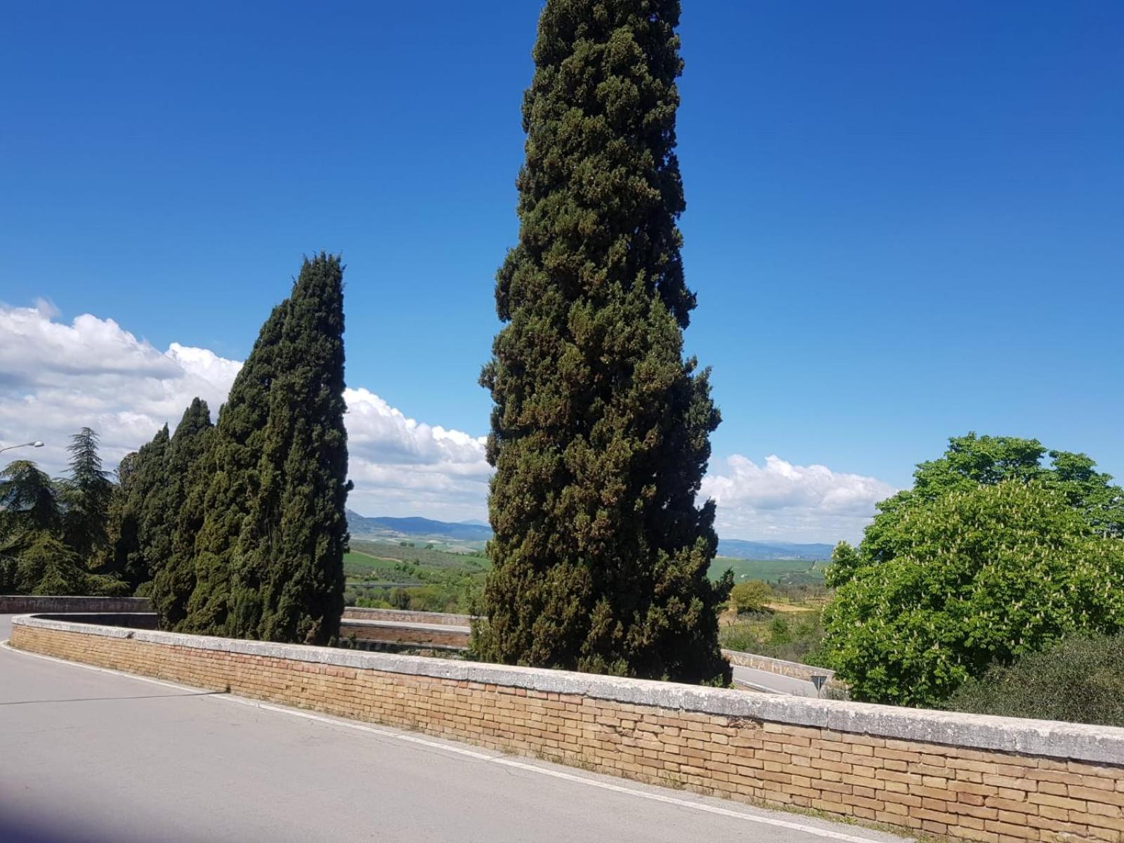 Palazzetto Del Pittore San Quirico d'Orcia Exterior photo